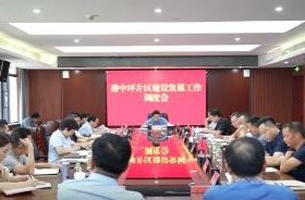 陈远主持召开港中坪片区建设发展工作调度会