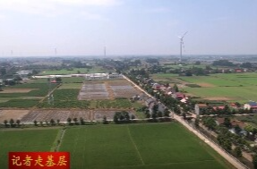 蒿子港镇邱家村：巧用“小积分” 村貌“焕新颜”