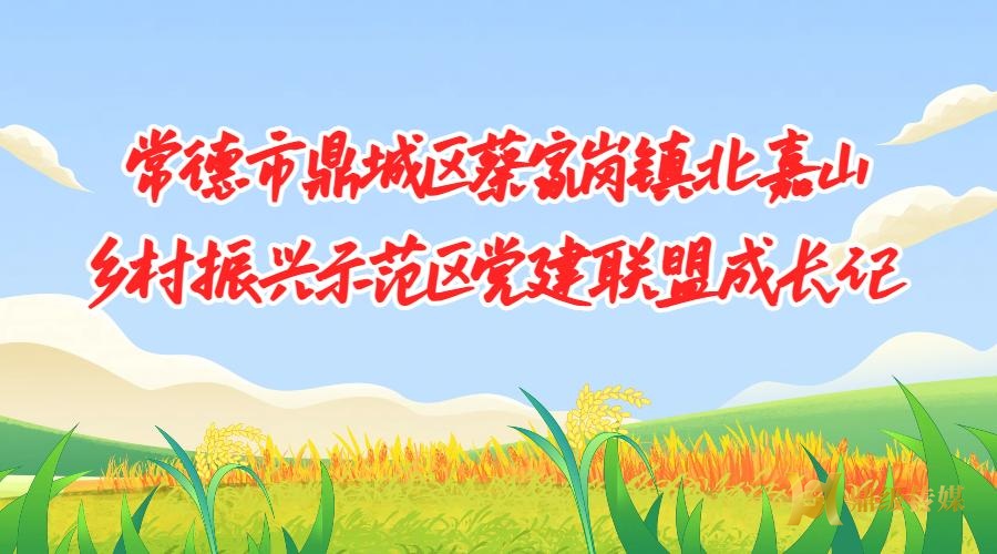 漫画 | 党建联盟成长记