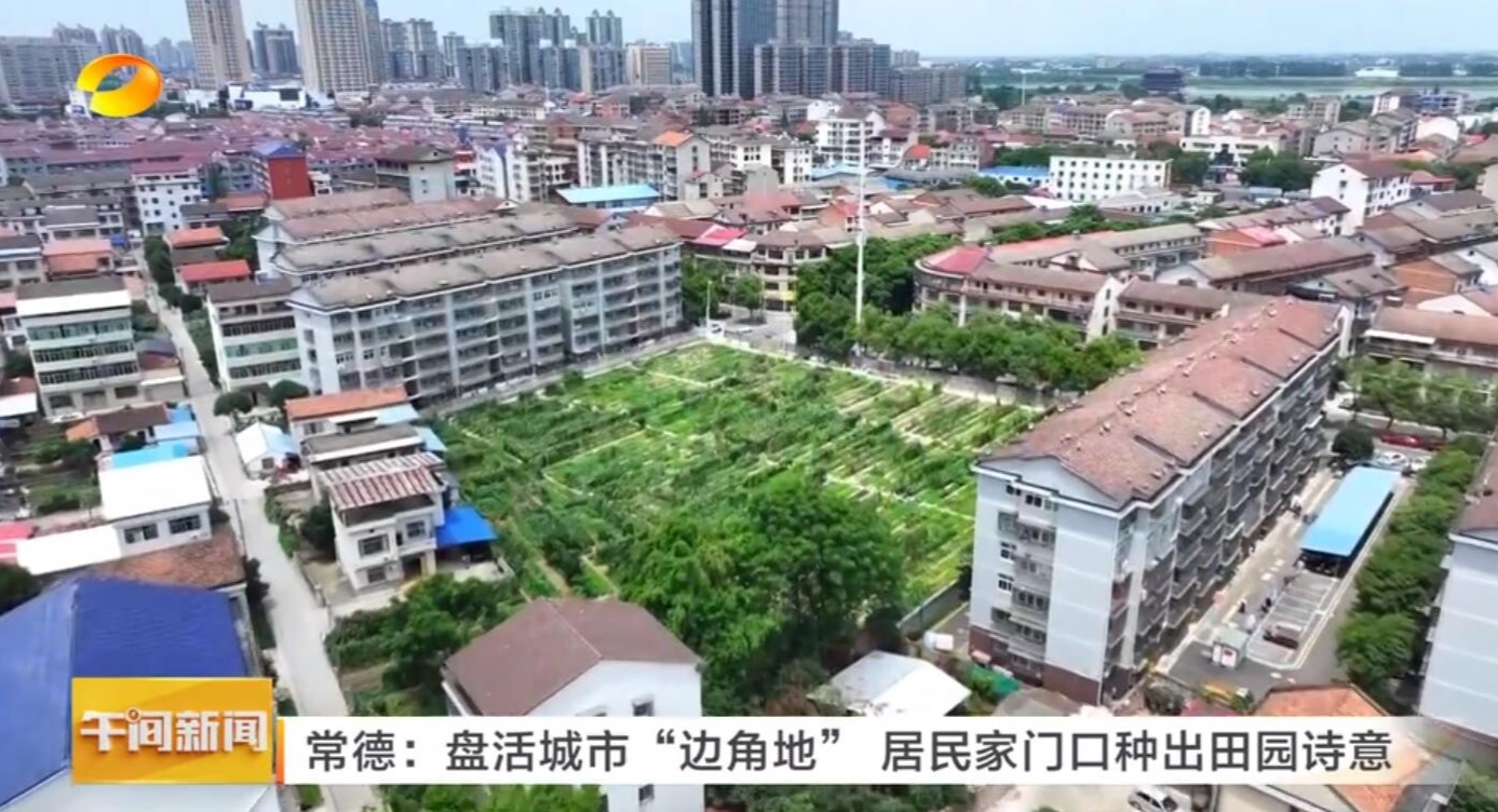 常德鼎城：盘活城市“边角地” 居民家门口种出田园诗意