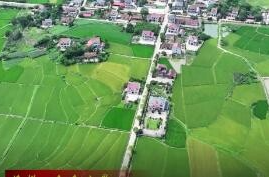石公桥镇三兴村：破解发展难题   党建赋能乡村蝶变