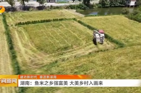 湖南卫视《午间新闻》丨建功新时代 奋进新湖南 湖南：鱼米之乡强富美 大美乡村入画来