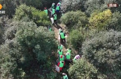 湖南卫视《经视播报》丨常德：水肥一体化 油茶林效益大