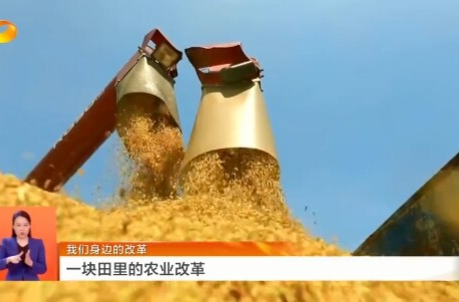 湖南新闻联播丨我们身边的改革 一块田里的农业改革
