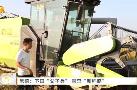 湖南卫视《午间新闻》丨常德：下田“父子兵” 同奔“新稻路”