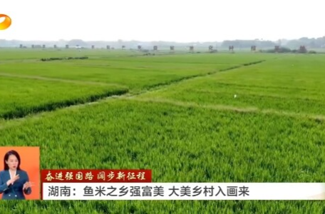 湖南新闻联播丨奋进强国路 阔步新征程 湖南：鱼米之乡强富美 大美乡村入画来