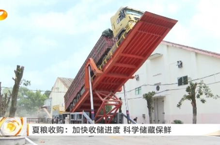 湖南卫视《午间新闻》丨夏粮收购：加快收储进度 科学储藏保鲜
