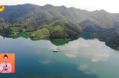 湖南新闻联播丨我们身边的改革 让绿水青山变成金山银山 鹭鸟回归火爆乡村游