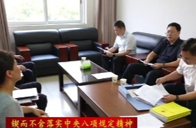 陈远调研指导深入贯彻中央八项规定精神学习教育开展情况