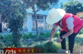 牛鼻滩镇碧潭社区：党建引领  绘就社区治理新画卷
