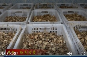 冯忠军：退伍不褪色 穷山村变“绿富美”