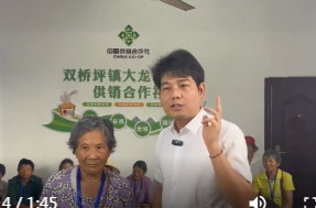 双桥坪镇大龙站社区供销社电商直播基地启用