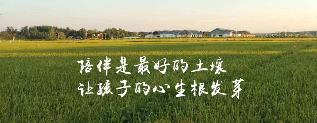 稻香里撒欢，水枪中狂欢！港中坪夏耘童乐会火热开场！