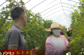 成绪建：二十载乡土情 一腔赤诚践初心
