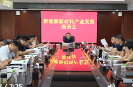 陈远主持召开鼎城区新能源新材料产业发展座谈会
