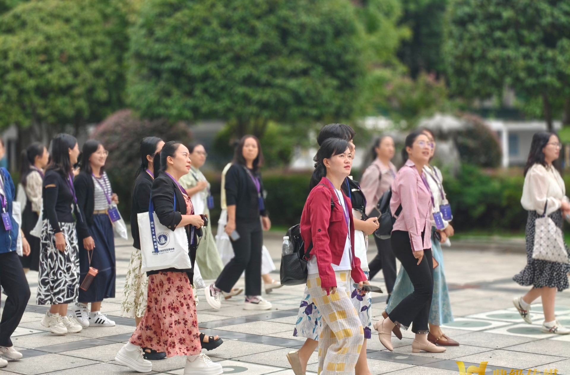 国家智慧教育平台赋能课堂  武陵小学迎来云南骨干教师访学