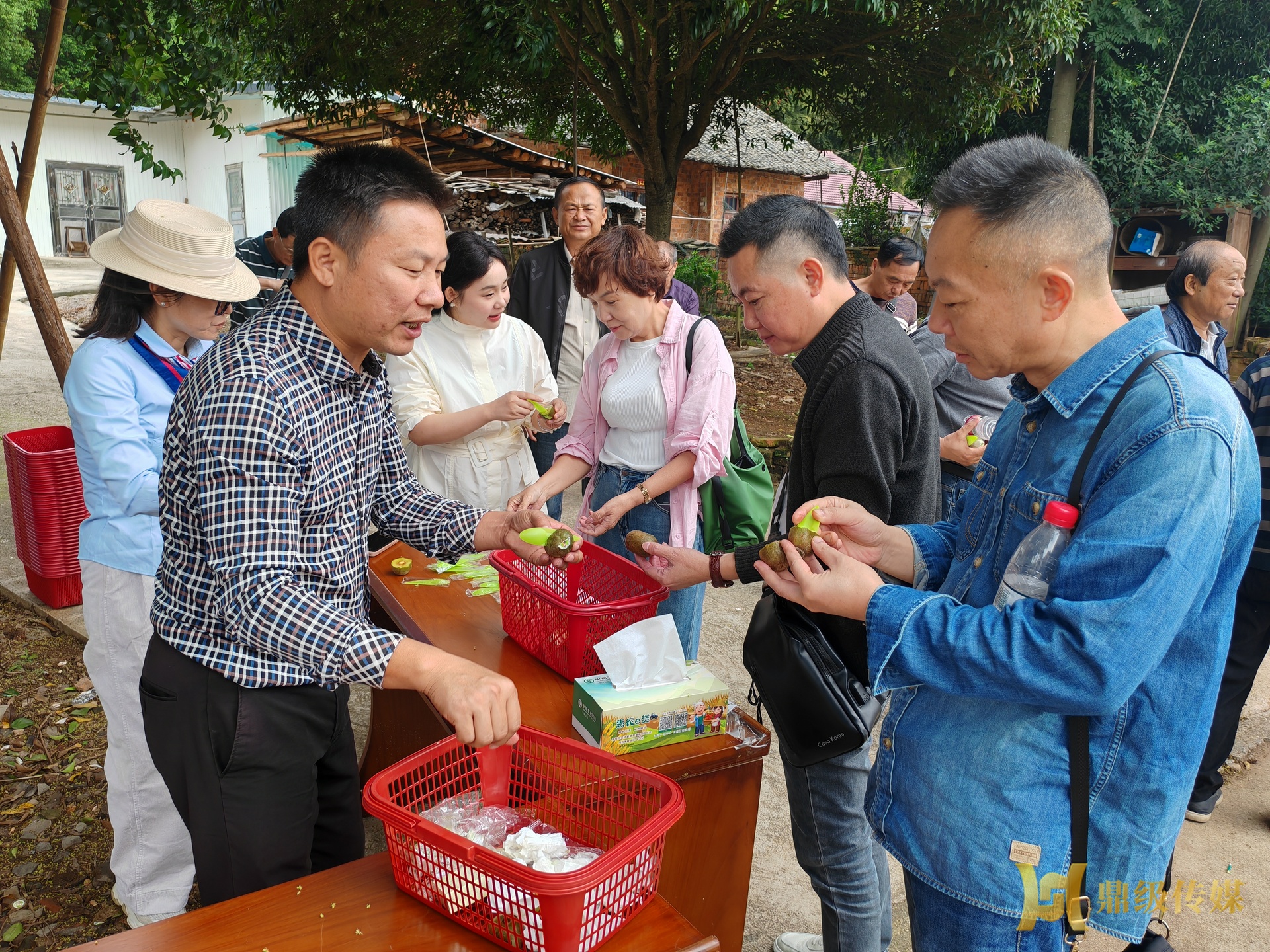 白发专家聚果园 科技赋能促振兴  ——鼎城老科协考察李家桥村猕猴桃产业基地
