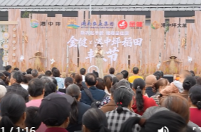 港中坪稻田丰收节举行