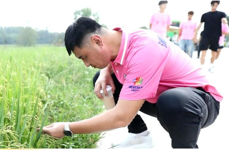 湘超常德队探秘港中坪：沉浸式体验稻耕文化 绿茵激情燃动乡村