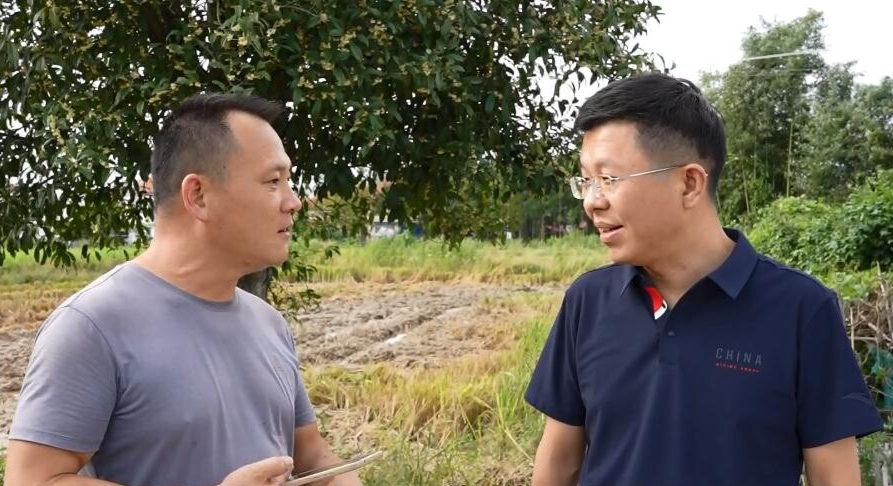 何朝辉督导秸秆综合利用与大气污染防治工作