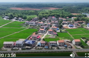 港中坪村：“双轮治理”塑造文明乡风新图景