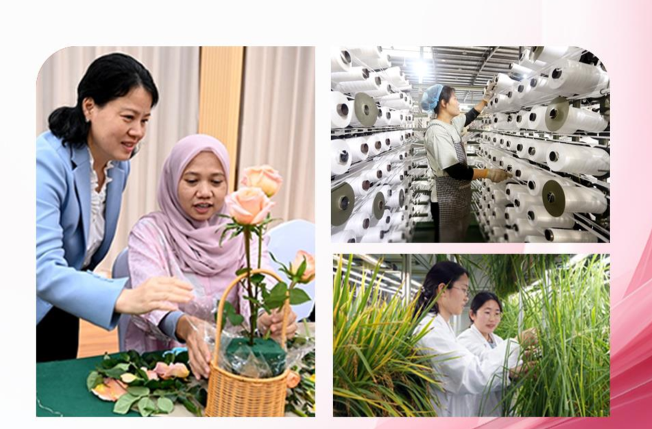 时政微观察丨树立全球妇女事业发展新的里程碑