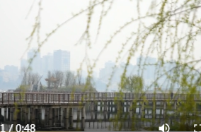 常德未来一周冷空气活动频繁   多阴雨寡照天气