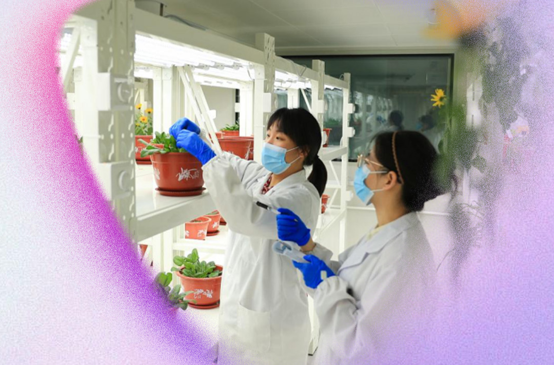 学习时节｜推动妇女事业发展，习近平主席为世界贡献中国经验