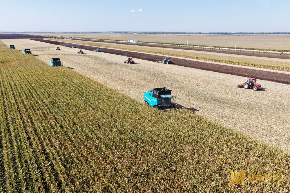 好评中国丨全链条“手拉手” 共护粮丰民安