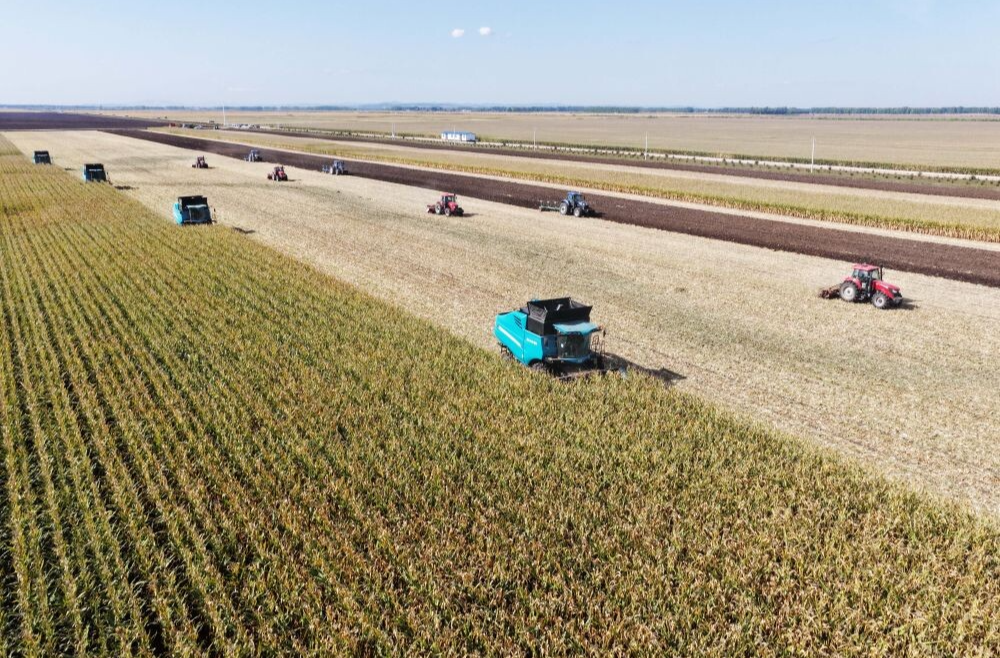 深刻揭示新时代发展规律——习近平经济思想引领新时代经济工作述评之二