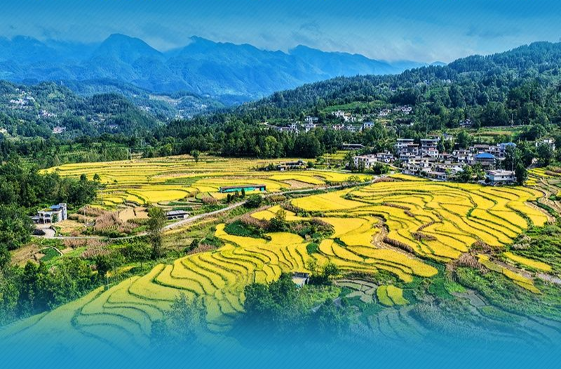 学习新语｜总书记引领推动乡村振兴迈出坚实步伐