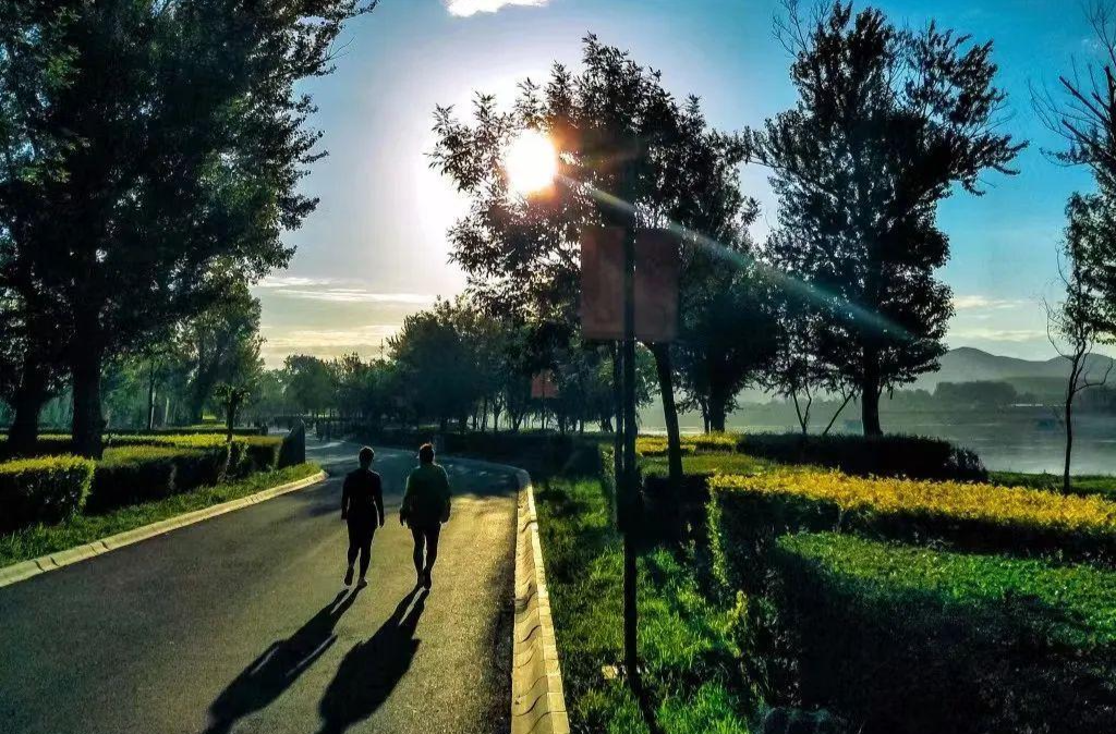 时政微观察丨非凡“十四五”，美丽中国铺展新画卷