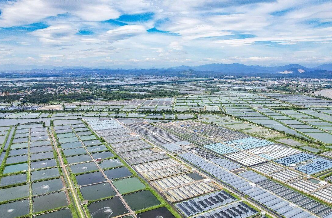 时政微观察丨以宏伟蓝图引领高质量发展