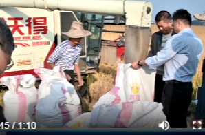 谢家铺镇粮食生产万亩综合示范片晚稻测产数据出炉 亩产达628.5公斤