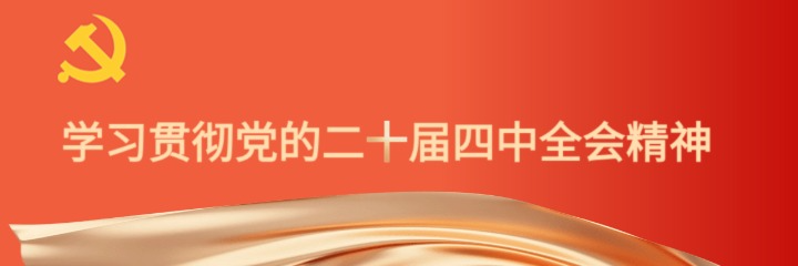 学习贯彻党的二十届四中全会精神