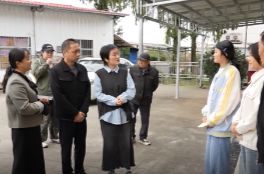 鼎城区政协：爱心接力续新篇 真情呵护伴成长