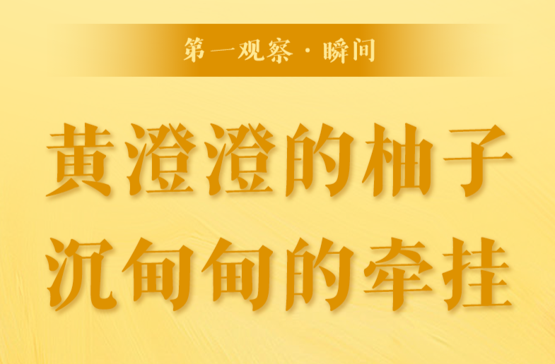 第一观察·瞬间｜黄澄澄的柚子，沉甸甸的牵挂