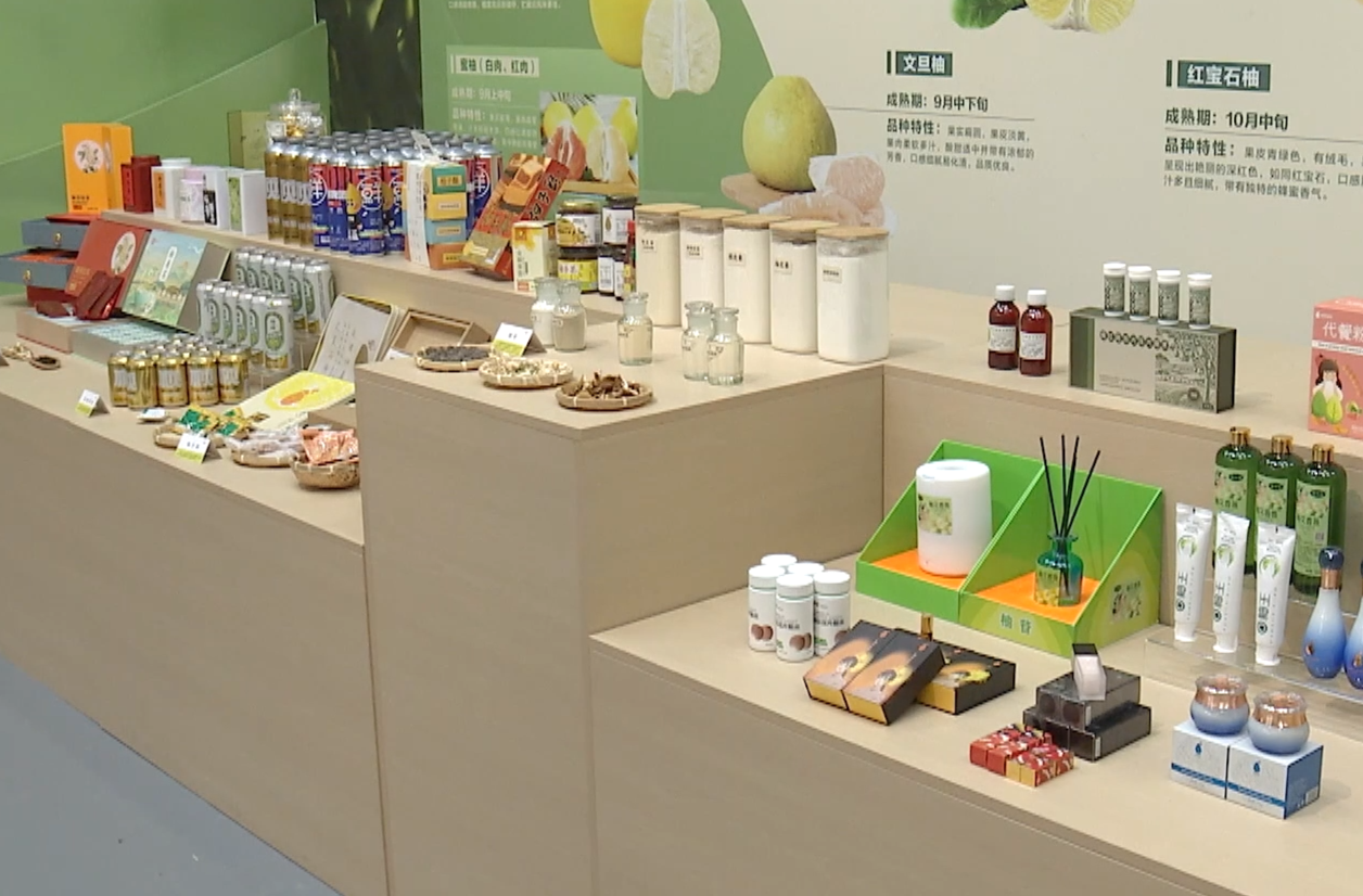 时政现场说丨金柚满枝头 产业甜万家