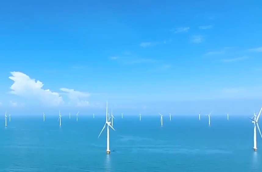 视频丨高标准建设海南自由贸易港 总书记重要讲话引发热烈反响