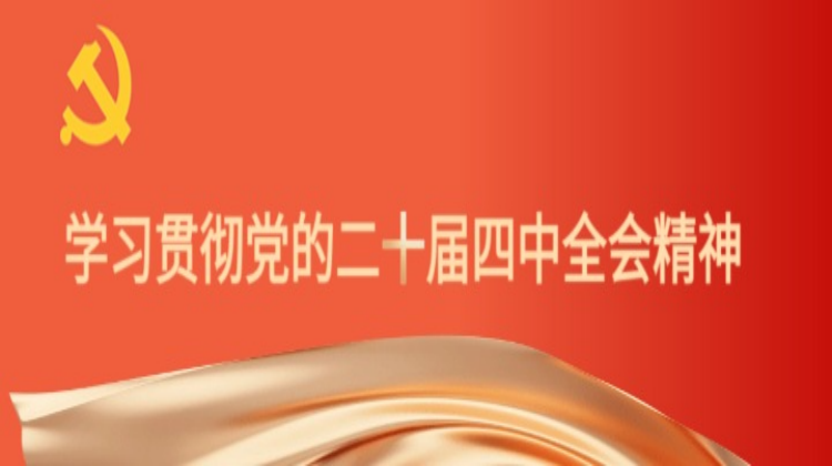 学习贯彻党的二十届四中全会精神