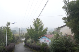 草坪镇教门冲村：发展特色产业 跑出乡村振兴“加速度”