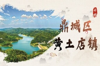 鼎城区黄土店镇专栏