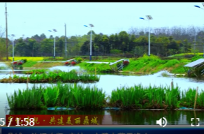 鼎城：治污攻坚 守护一方碧水蓝天净土