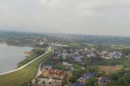 学习贯彻党的二十届四中全会精神·蔡家岗镇