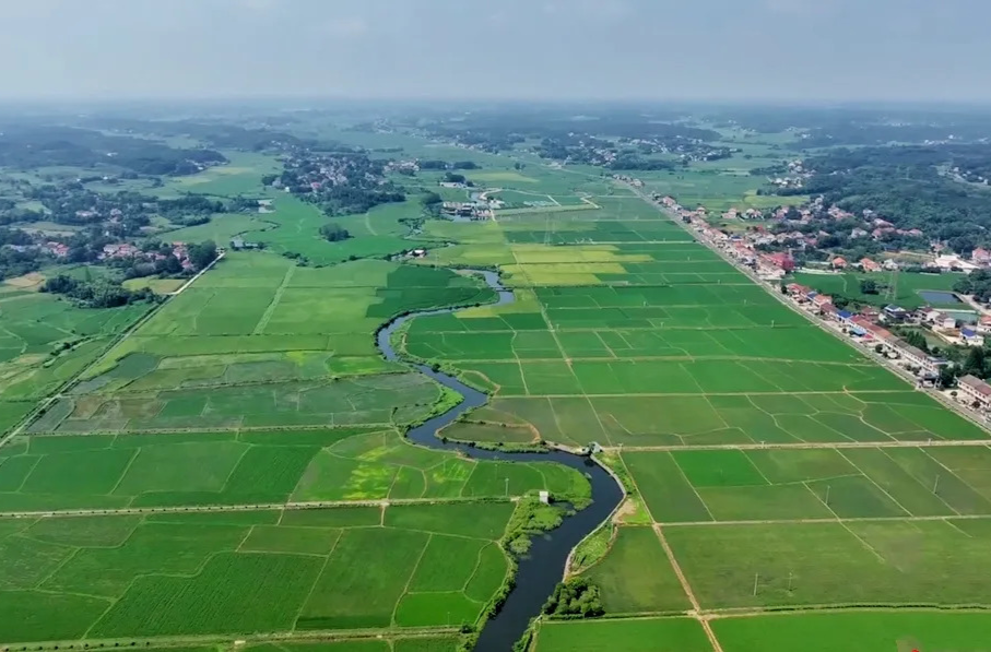 【鼎城的绿色答卷】绿富同兴！一场发展与生态的双向奔赴→