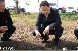 陈远督导巩固拓展脱贫攻坚成果同乡村振兴有效衔接工作