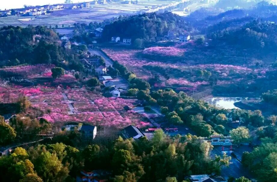 “桃花源里 灵醒常德”网络作品征集活动 | 乡村蝶变篇