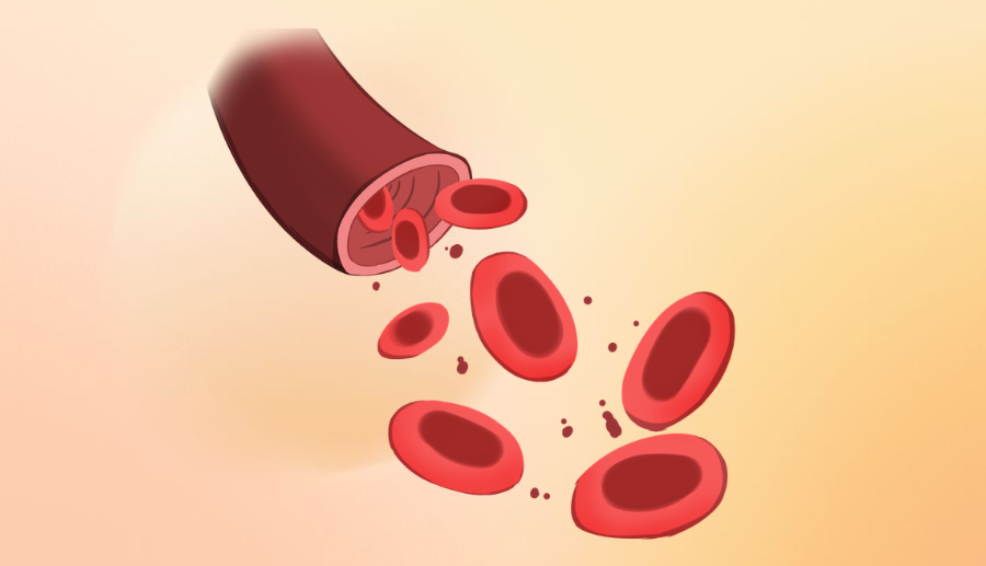 常德市第四人民医院：明明饮食很清淡，怎么就查出高血脂了？