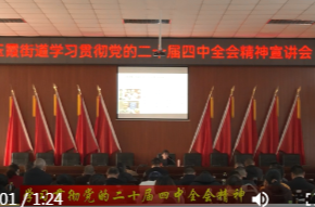 玉霞街道：学习贯彻党的二十届四中全会精神