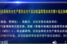 常德市鼎城区应急和安全生产委员会关于启动低温雨雪冰冻灾害Ⅳ级应急响应的通知